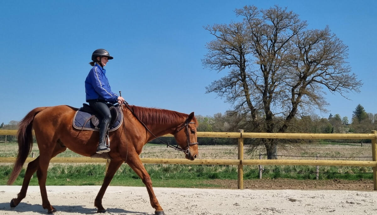 Les Chevaux de la Risle